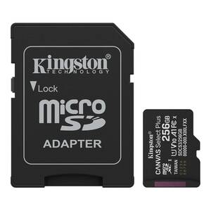 Cayin N5 + microSDカード 256GB mory-cards-kingston-1494.jpg