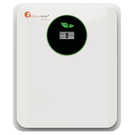 FelicityESS FLA24100-EU 24В 100А•г 2.56кВт•г