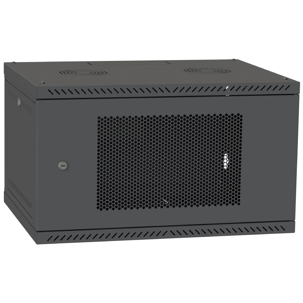 IPCOM CH-6U 600x600 перфорация RAL9005